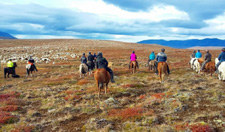 Iceland-Northern Tours-Shepherd's Trail in Northern Iceland